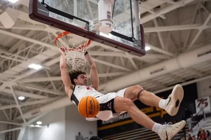 article image - gallery_image